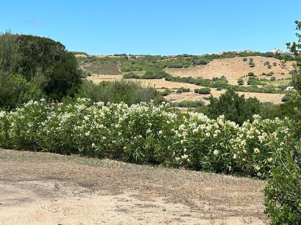 Bassacutena La Piana Holiday House מראה חיצוני תמונה