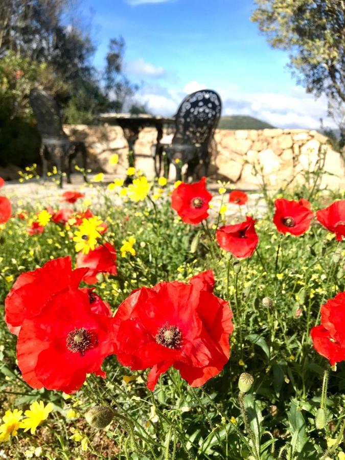 Bassacutena La Piana Holiday House מראה חיצוני תמונה